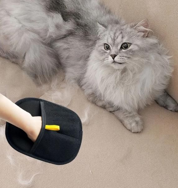 Easy Pets Hair Removal Glove / Lint Remover At Just Rs @499/-