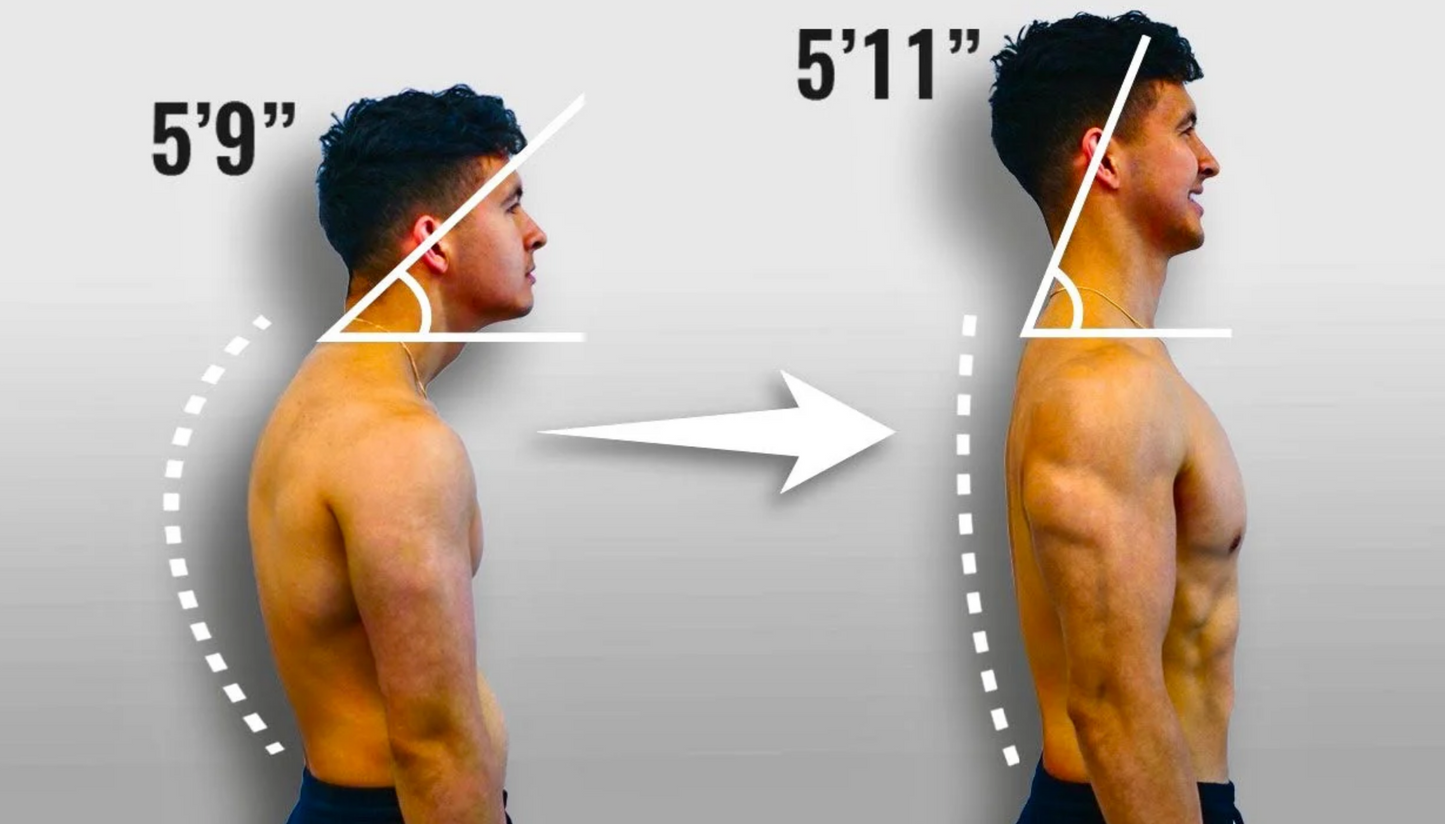 Posture Corrector Belt - Adjustable Back Posture Corrector/ Slouching Relieve Pain Belt Women Men (Free Size)