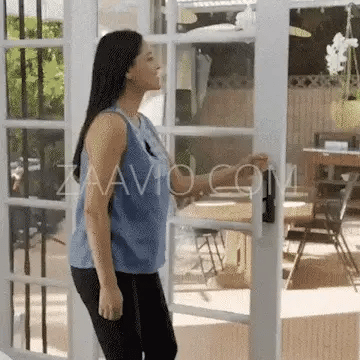 Magnetic Mosquito Screen Door β Easy Snap, No Mosquito Trap