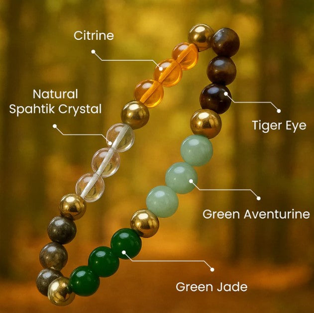 Dhan Yog Bracelet for Money, Luck & Business Growth @ RS.499
