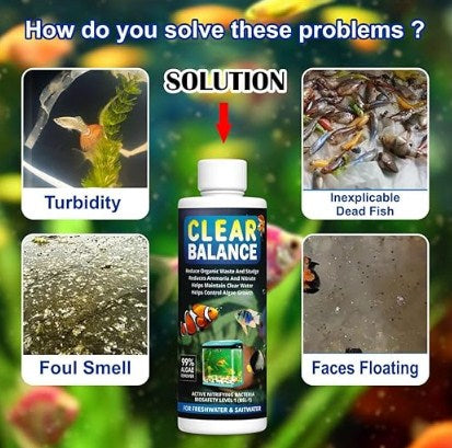 Fish Tank Water Purifier Algae Remover 100ml (Buy 1 Get 1 At Just Rs - 499/-)