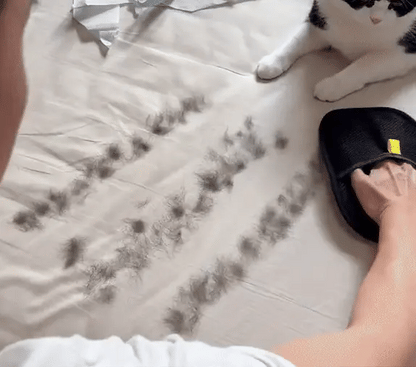 Easy Pets Hair Removal Glove / Lint Remover At Just Rs @499/-